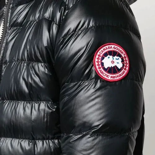 Canada Goose